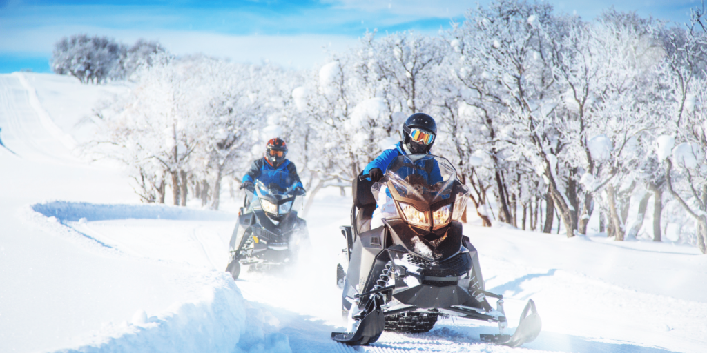 winter adventure at owl's nest