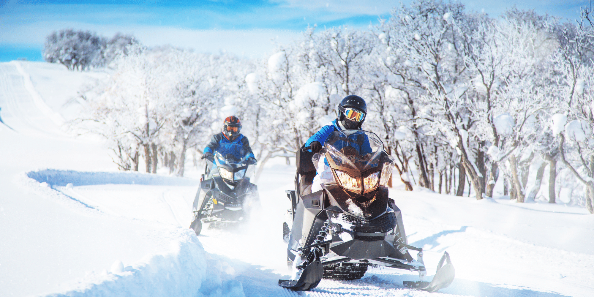 winter adventure at owl's nest